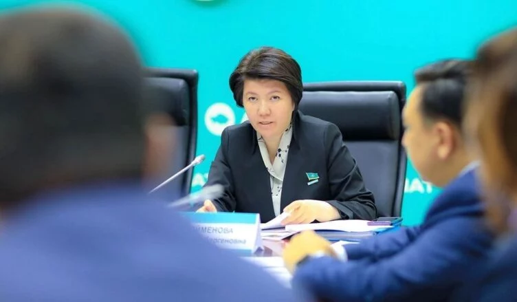 Депутат тұрмыстық зорлық-зомбылықпен күресетін мекеме құруды ұсынды - изображение 1