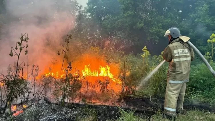 Абай облысындағы орман өрті туралы іс сотқа жолданды - изображение 1