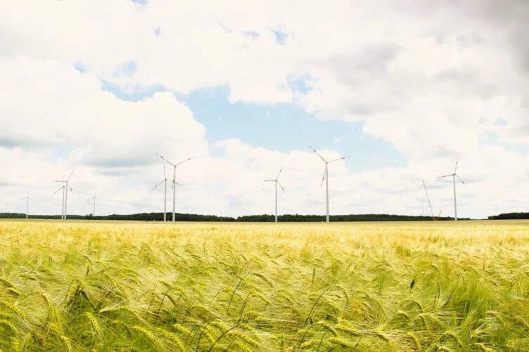 Kazakh-Azeri-Uzbek venture planned to sell green energy to Europe - изображение 1