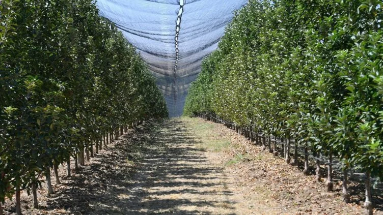 Изображение 1 для За год в Казахстане вернули 4,6 млн. га неиспользуемых и выданных с нарушением сельхозземель