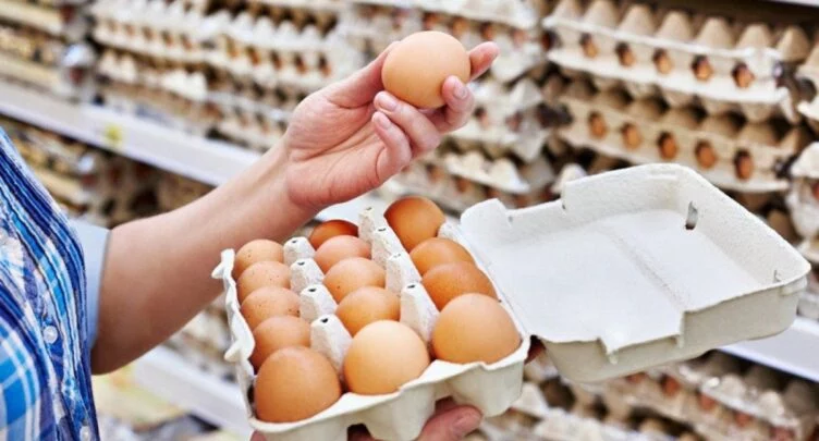 Ресей Қазақстанға жұмыртқа жеткізуді арттыру бойынша өтініш жасады - изображение 1