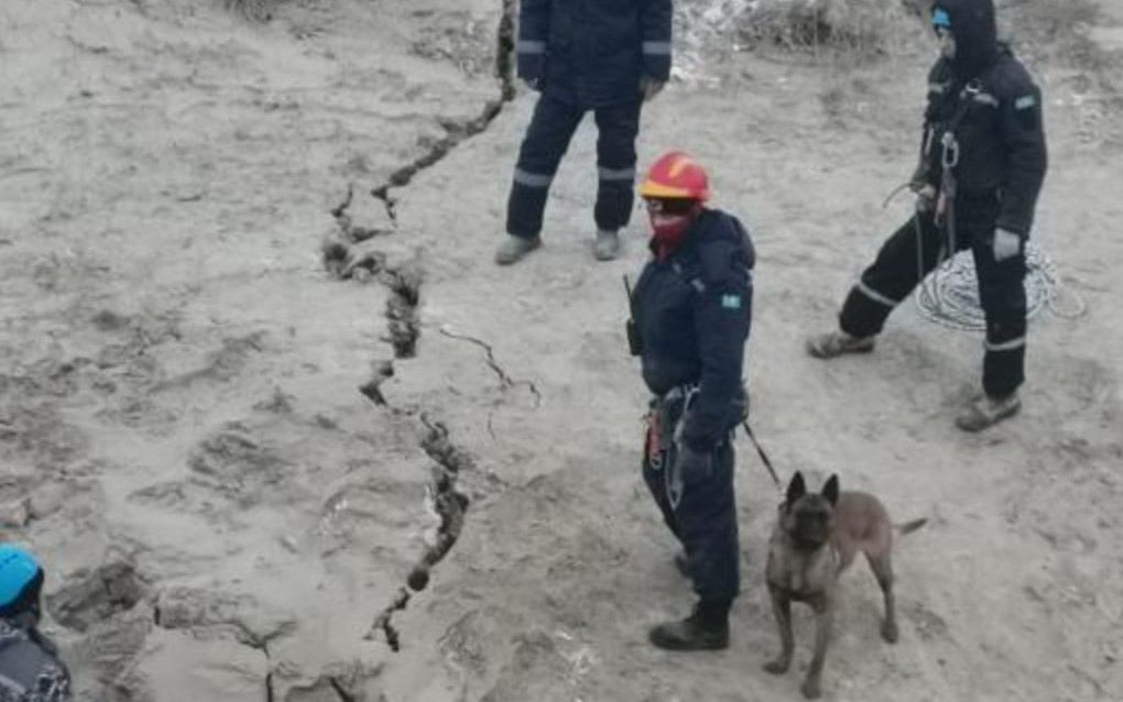 Курс в павлодаре на сегодня