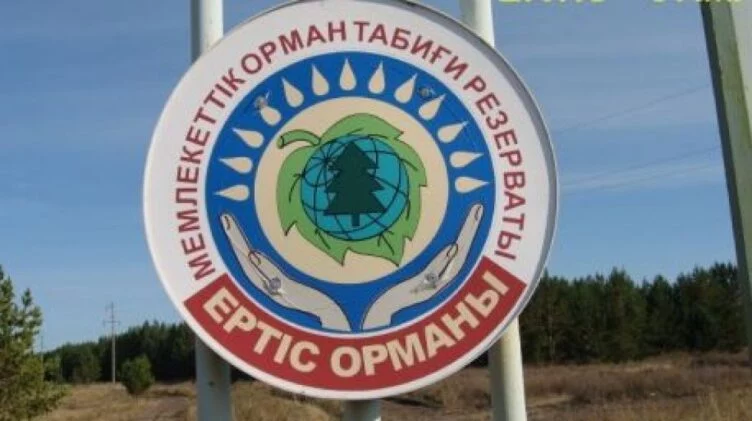 Руководитель «Ертіс орманы» подозревается во взяточничестве - изображение 1