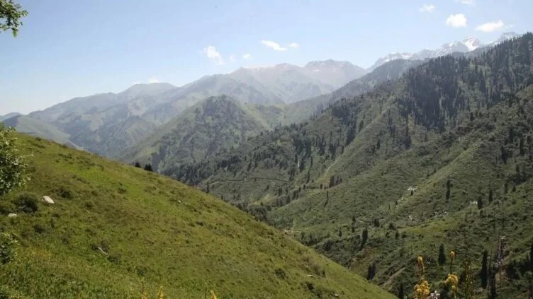 Құны 170 миллион теңгеден асатын жер мемлекетке қайтарылды - изображение 1