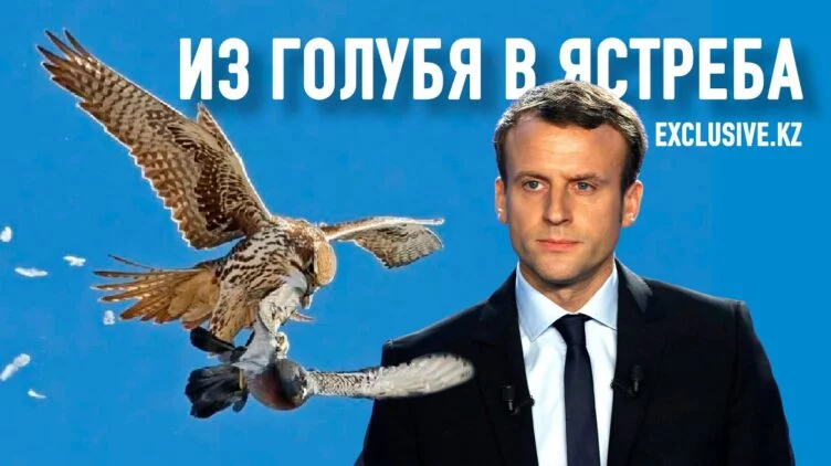 Макрон примеряет наполеоновскую треуголку - изображение 1