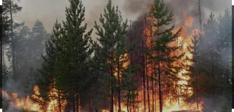 Изображение 1 для В «Семей Орманы» опять возник пожар в труднодоступной местности
