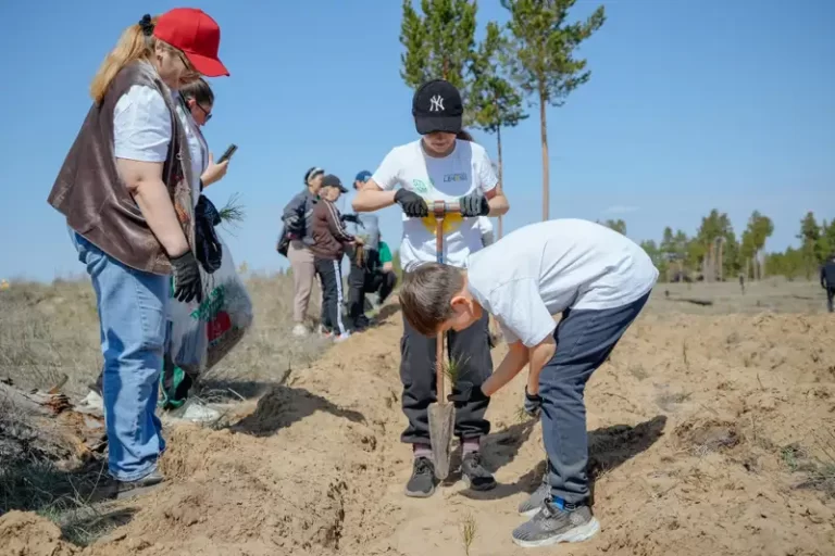 Токаев поддержал инициативу жителей Семея по восстановлению соснового бора - изображение 1