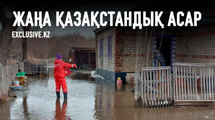 Демеу қоры нені жасырып отыр? - изображение 1