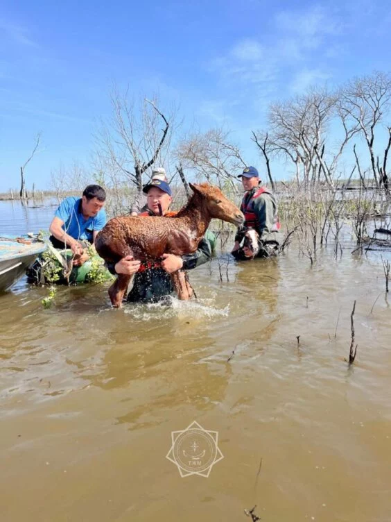 Более 8500 человек остаются в эвакопунктах в Казахстане - изображение 1