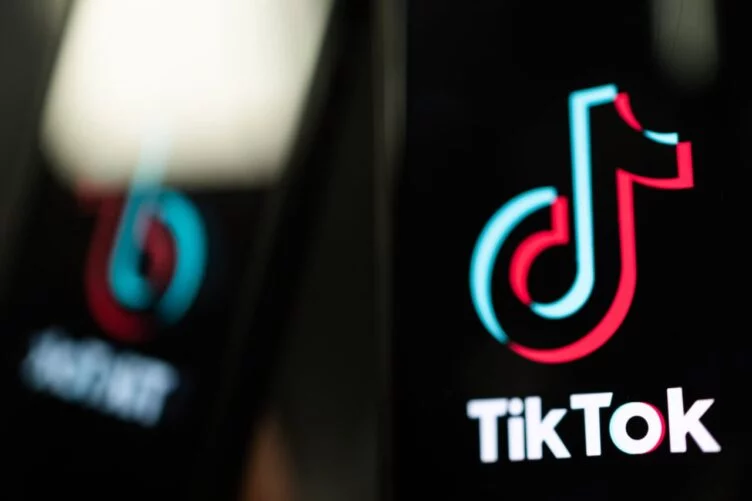 В Евросоюзе не исключили возможность блокировки TikTok - изображение 1