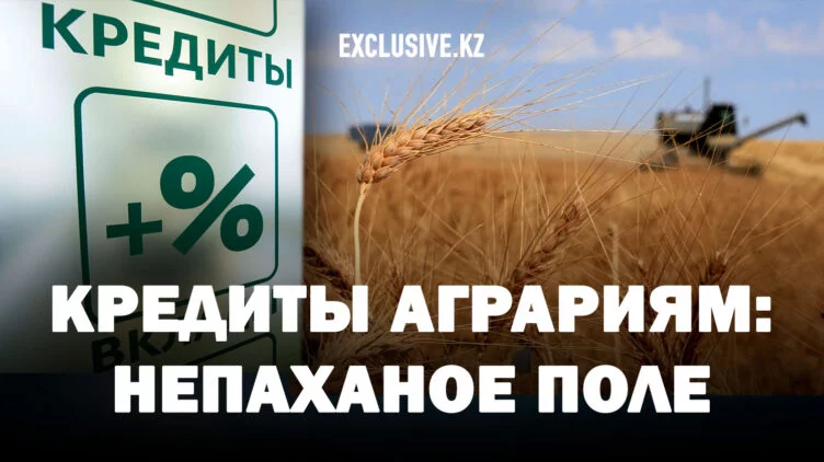 «Деньги предлагаете, а осваивать их сложно». Как власти (не) развивают агробизнес - изображение 1