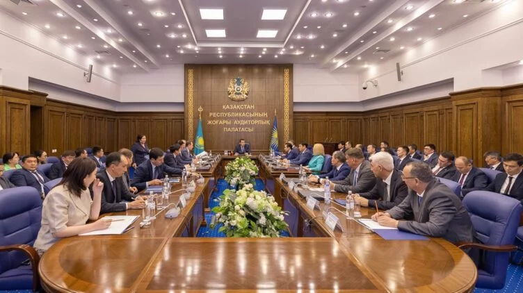 Высшая аудиторская палата указала на низкое качество камерального контроля в Казахстане - изображение 1