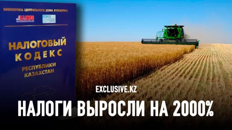 Фермеры Костанайской области рискуют обанкротиться - изображение 1