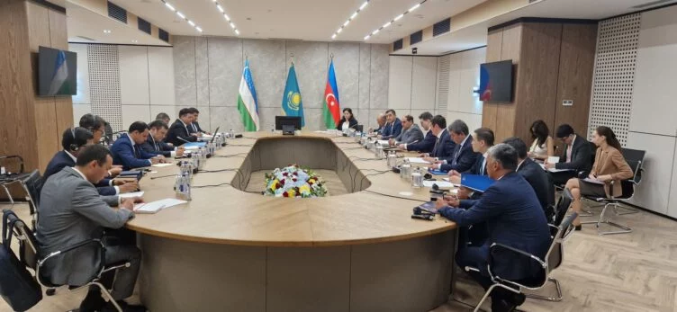 Баку, Астана и Ташкент создадут предприятие для экспорта зеленой энергии в ЕС - изображение 1