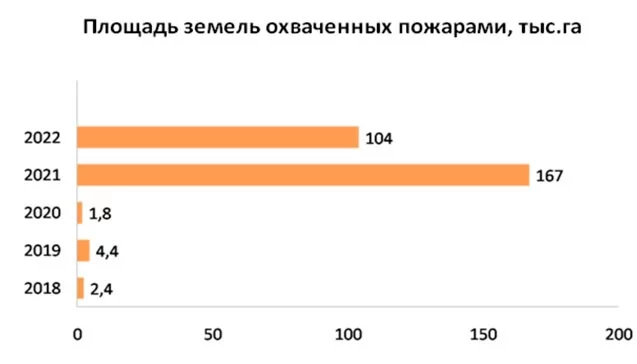 Изображение 1 для Что власти Казахстана не говорят про «Таза Қазақстан»
