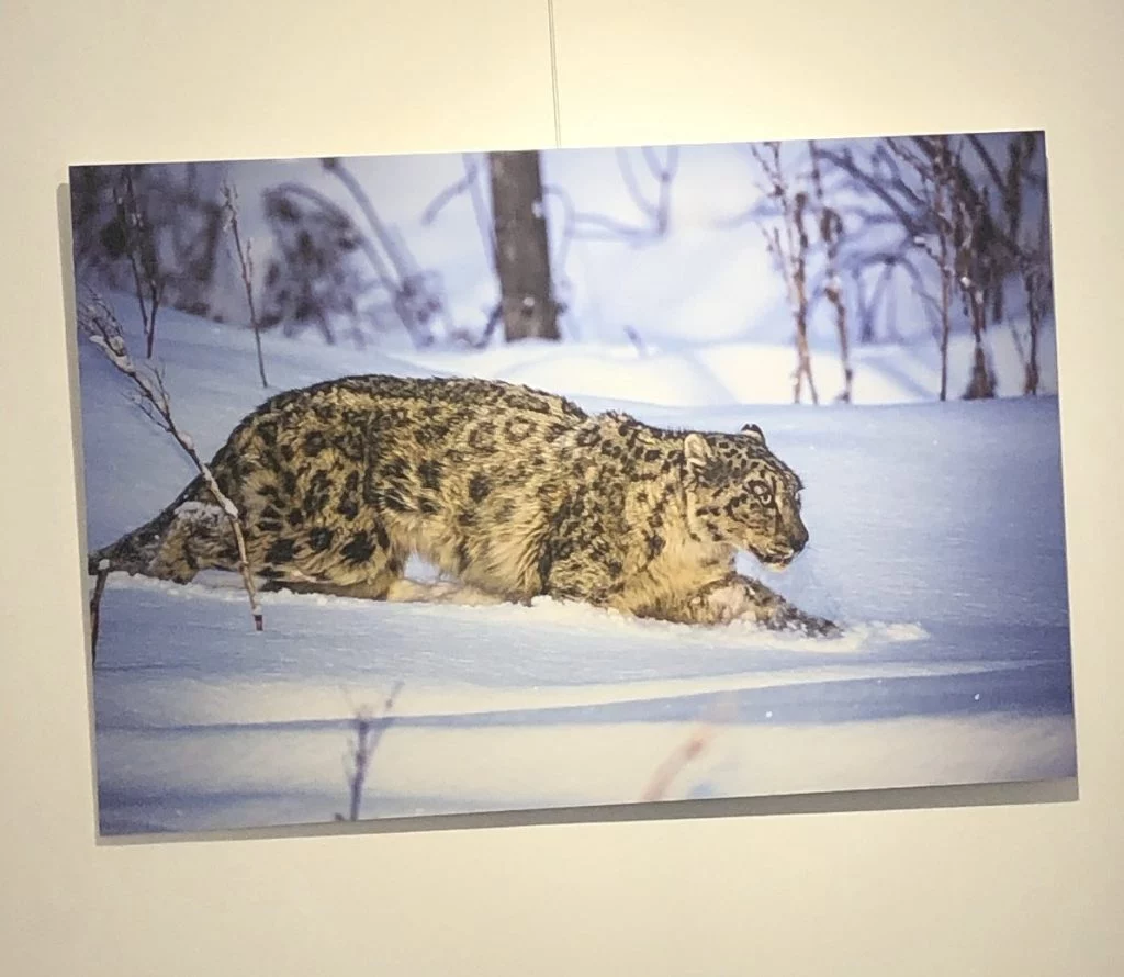 Изображение 6 для Фотовыставка для тех, кто не видит