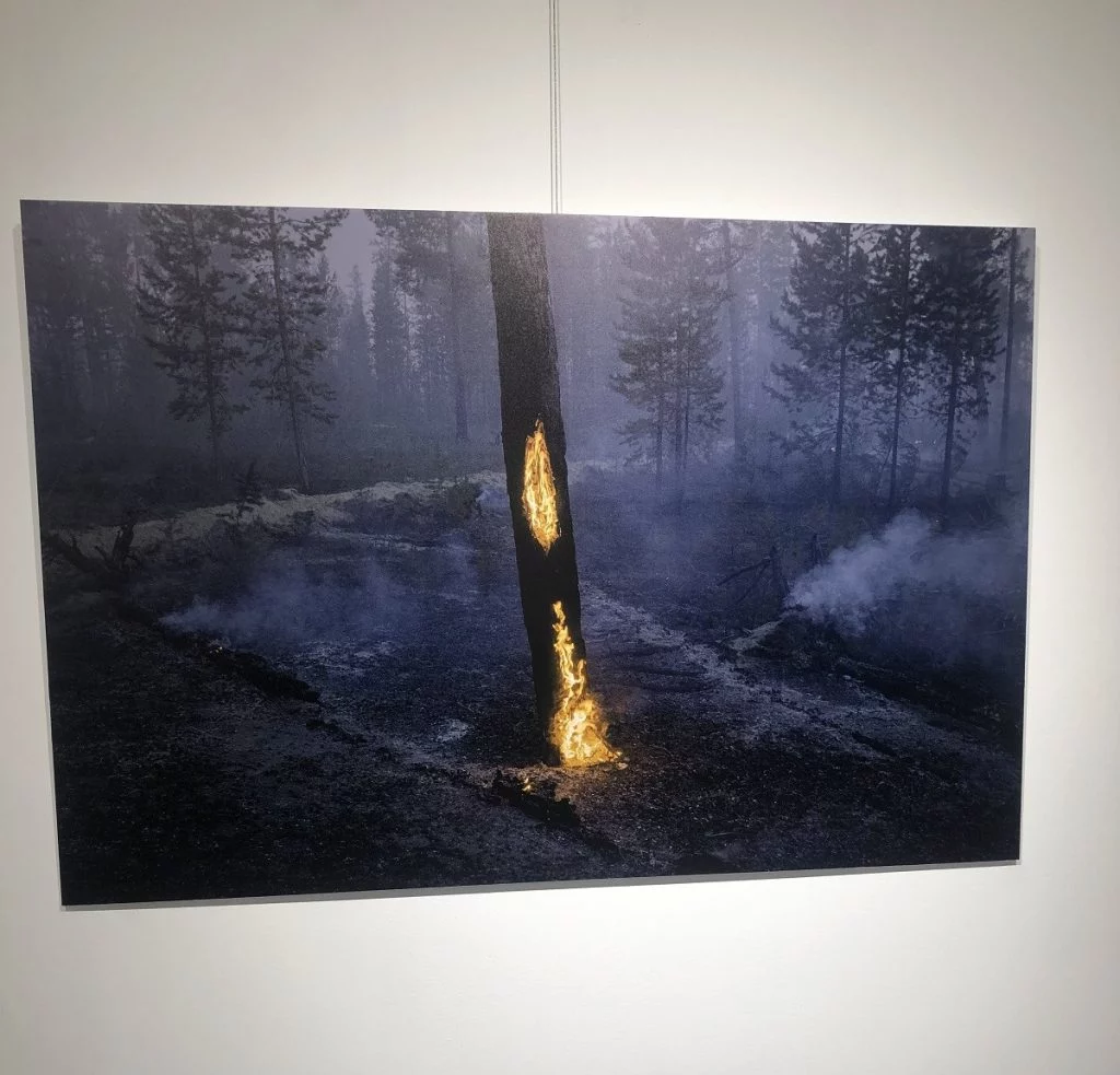 Изображение 2 для Фотовыставка для тех, кто не видит