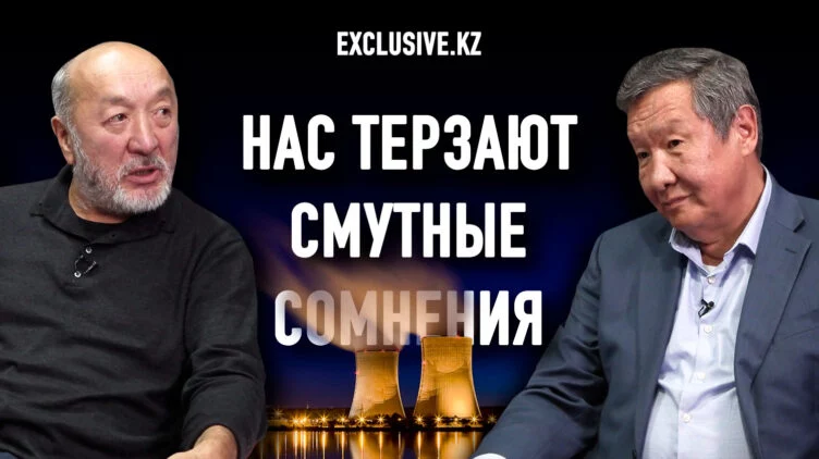 Что стоит за решением о проведении референдума по АЭС - изображение 1