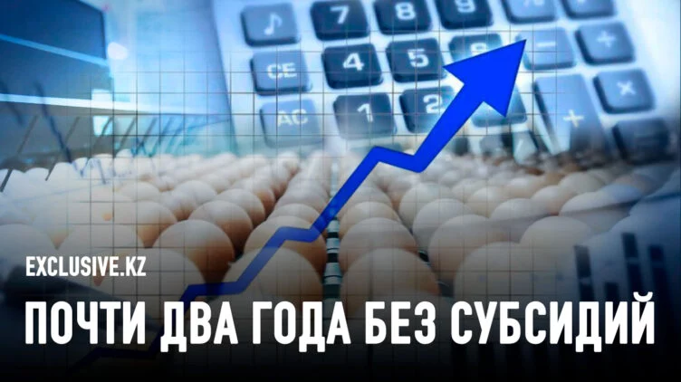 Ждет ли казахстанцев дефицит яиц? - изображение 1