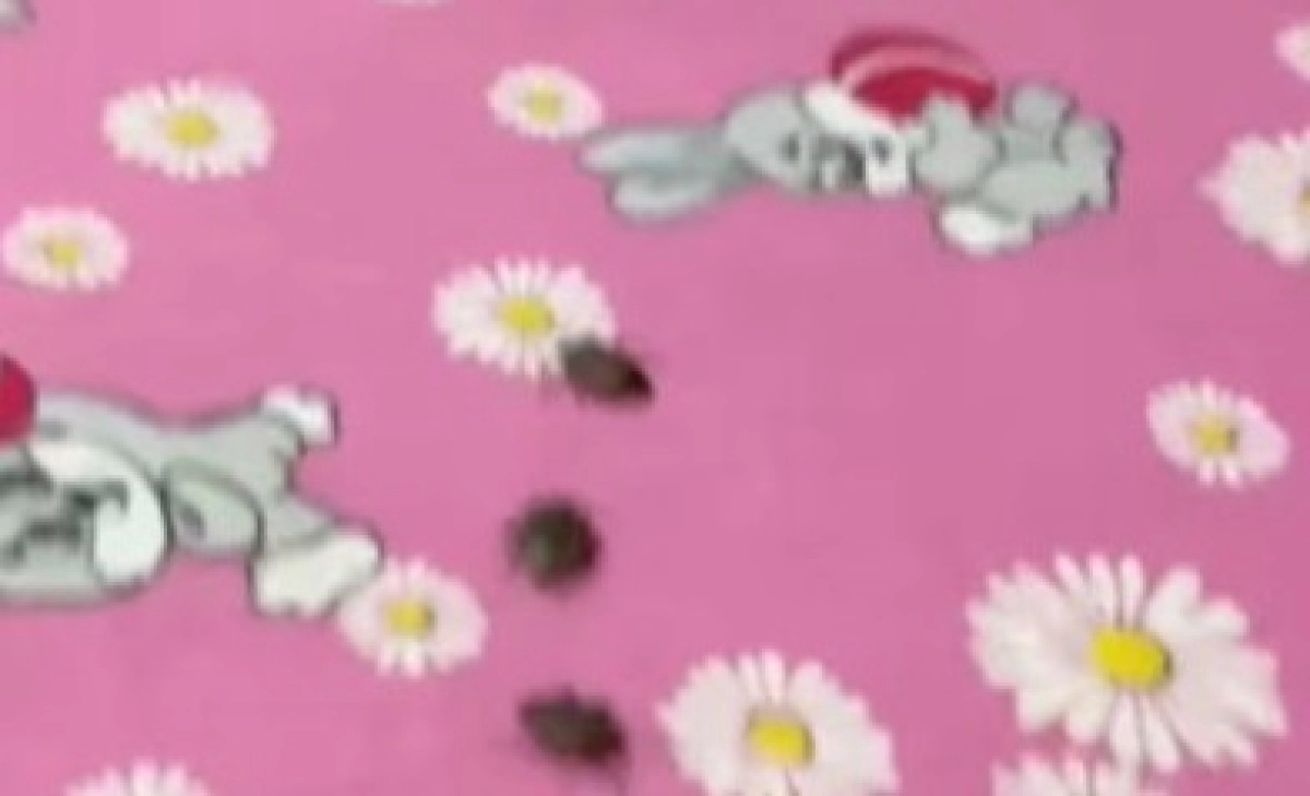 Клопы атаковали свыше 170-ти казахстанских детей в российском пансионате - изображение 1