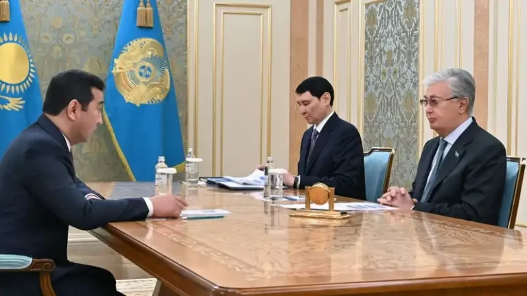 Министр сельского хозяйства РК отчитался перед президентом - изображение 1