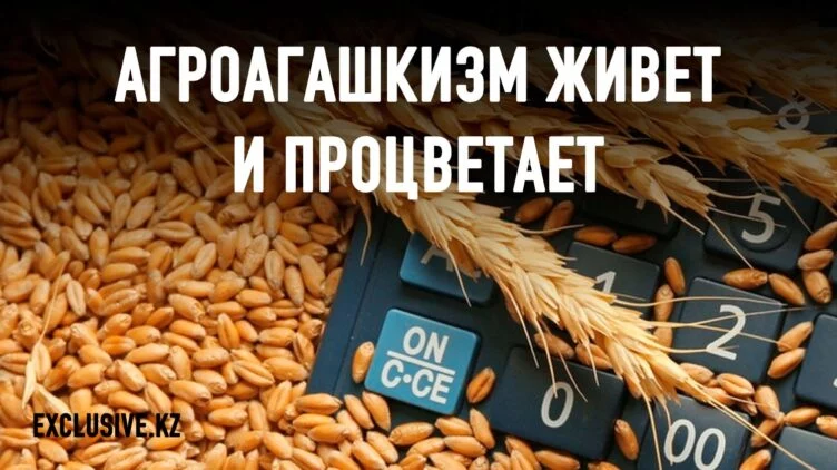 Легализовать проституцию, азартные игры и…субаренду земли - изображение 1
