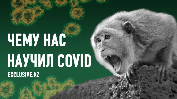 Как защититься от распространения новых вирусов - изображение 1