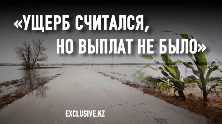 Выживет ли сельское хозяйство после паводков? - изображение 1