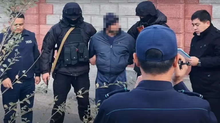 МВД Казахстана ликвидировало ячейку экстремистов «Хизб-ут-Тахрир» - изображение 1