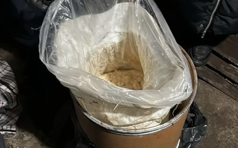 Сырье для 500 тысяч доз «синтетики» изъяли карагандинские полицейские - изображение 1