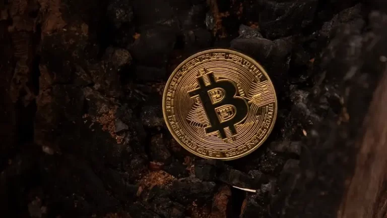 Криптовалюту почти на 500 млн тенге добыли в Казахстане на незаконных майнинг-фермах - изображение 1