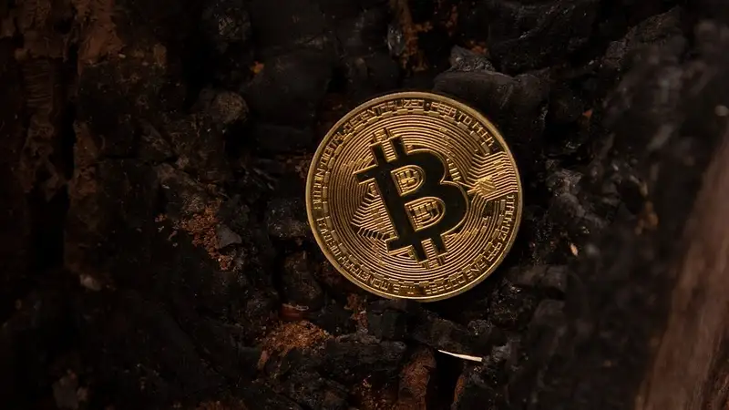 Изображение 1 для Криптовалюту почти на 500 млн тенге добыли в Казахстане на незаконных майнинг-фермах