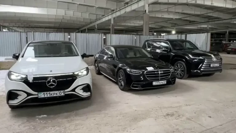 Элитную недвижимость, дорогие иномарки и вещи Перизат Кайрат арестовали - изображение 1