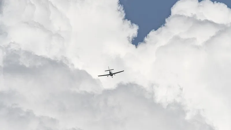 Летевший из Узбекистана в Россию самолет развернулся из-за ЧП - изображение 1