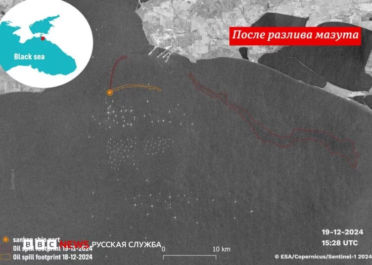 Более 60 км пляжа от Анапы до Крымского моста загрязнено мазутом — Greenpeace - изображение 1