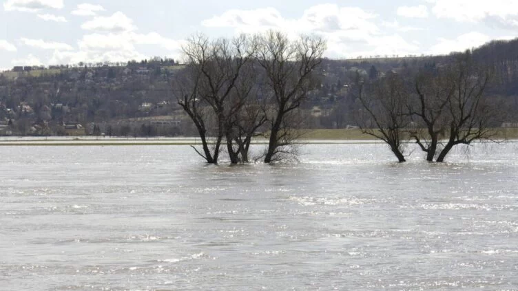 Паводки в Казахстане: в зоне риска находятся 1223 населённых пункта - изображение 1
