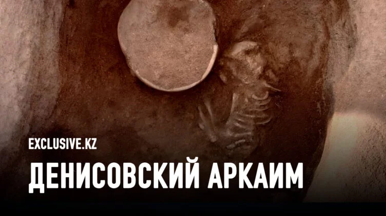О чем «расскажут» кости, найденные археологами в Костанайской области? - изображение 1