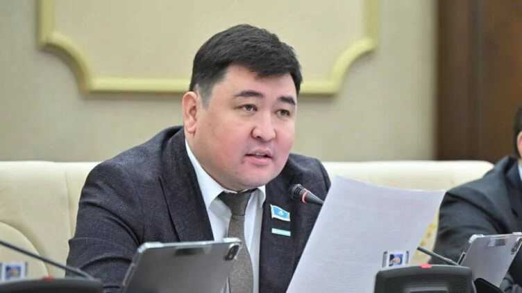 «Ругательство и оскорбления не являются сатирой» — Депутат о задержании Темирлана Енсебека - изображение 1