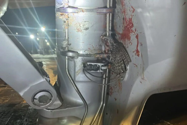 Самолет благополучно приземлился в Астане после столкновения с птицами - изображение 1