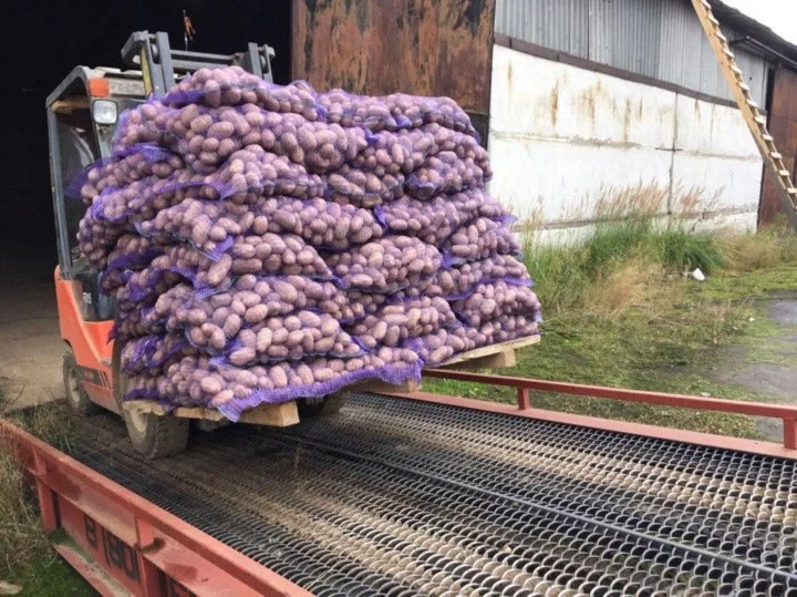 Казахстан ограничил вывоз картофеля на полгода - изображение 1
