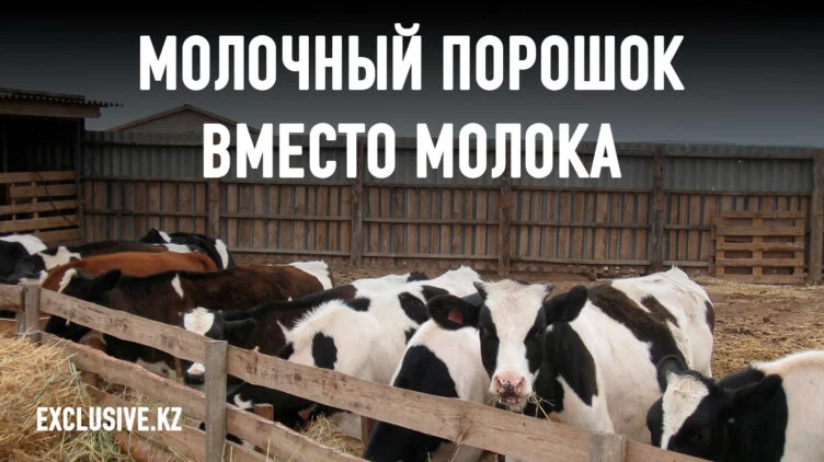 Что мешает сельхозкооперативам? - изображение 1