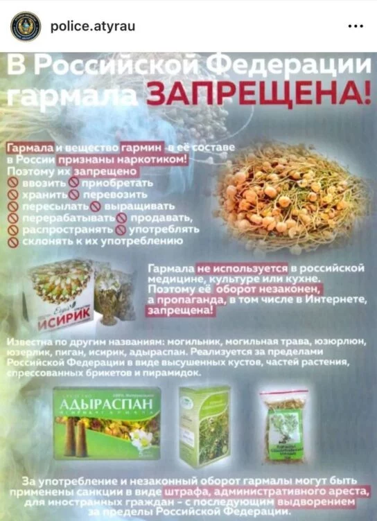 Казахстанцам напомнили, как не превратиться в наркопреступника в России - изображение 1