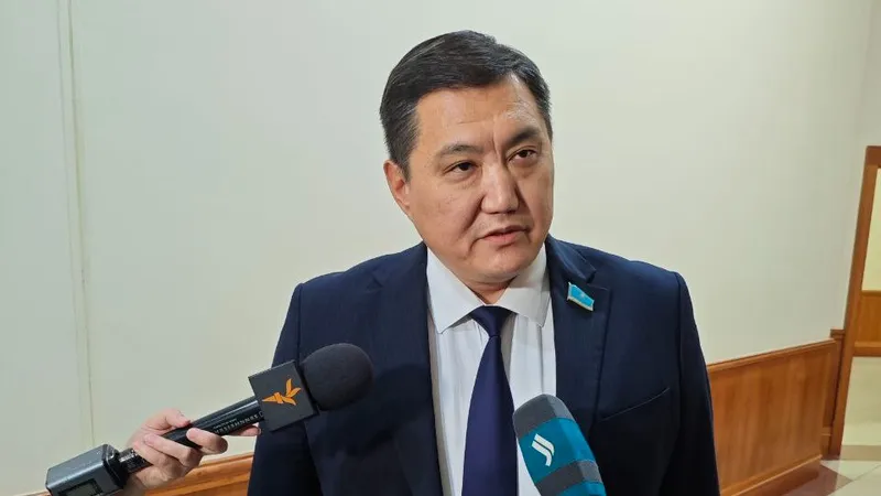 Депутат прокомментировал вопрос национализации «Казахмыса» - изображение 1