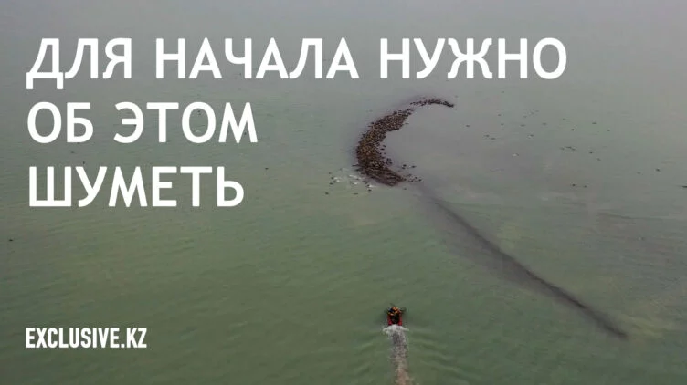Нефтяные компании должны ответить за экологическую катастрофу на Каспии - изображение 1