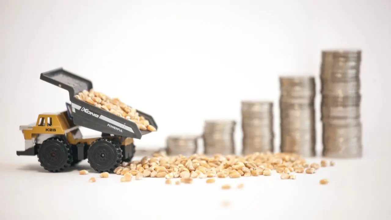 Казахстанским фермерам позволят по желанию платить НДС – Миннацэкономики - изображение 1