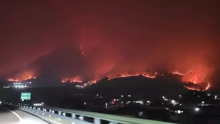 Режим ЧС объявили в Южной Корее из-за лесных пожаров, есть жертвы - изображение 1