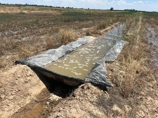 Как Министерство водных ресурсов носит воду решетом - изображение 1