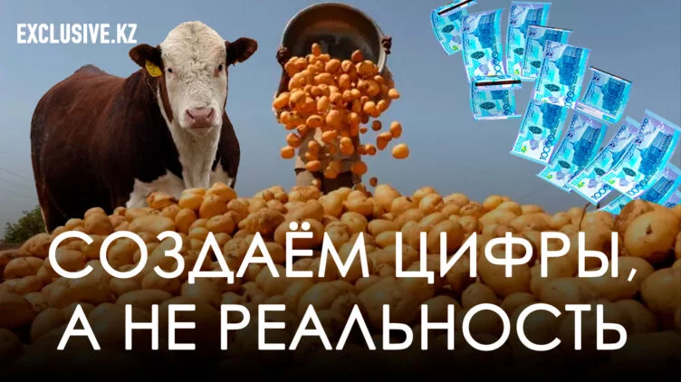 Казахстан – страна фантомного картофеля, нарисованных коров и исчезнувших миллиардов - изображение 1