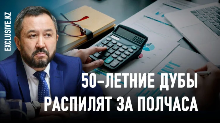 Казахстанский бизнес ждёт волна необоснованных налоговых проверок - изображение 1