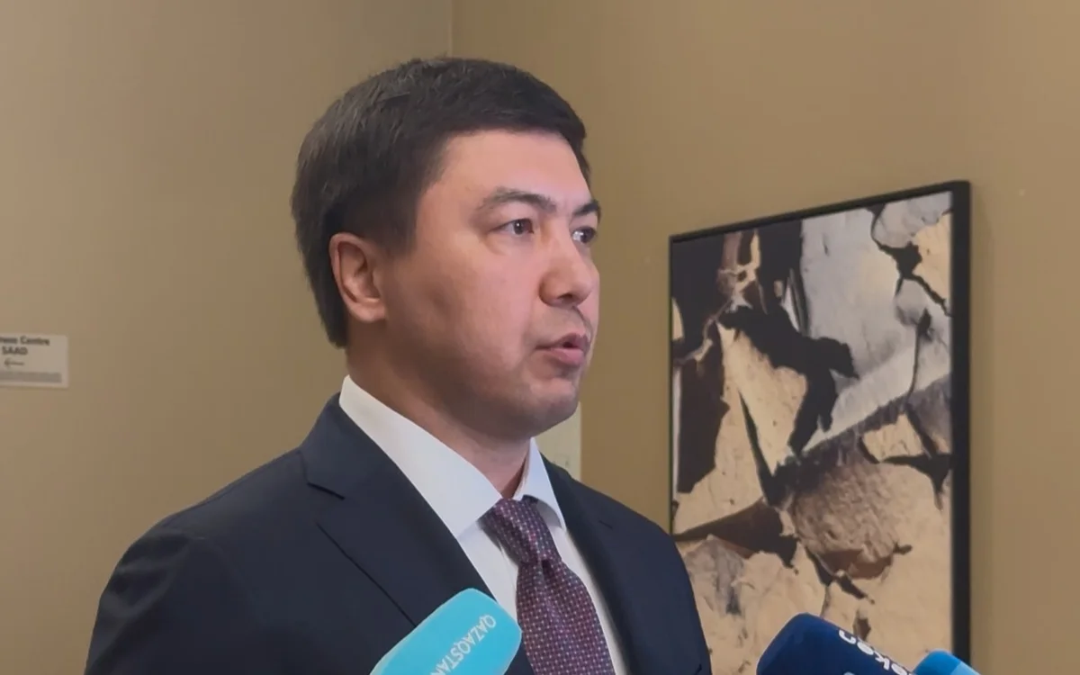 В Казахстане продолжается работа по формированию международного консорциума для строительства АЭС - изображение 1